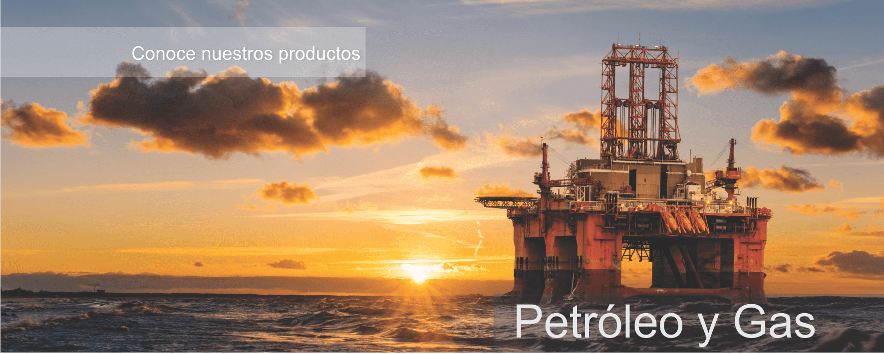 Conoce nuestros productos